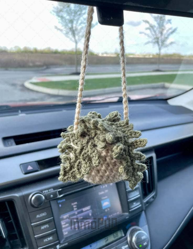 Crochet Succulent Plant Car Hanging Plant Crochet Car Plant: String of Pearls