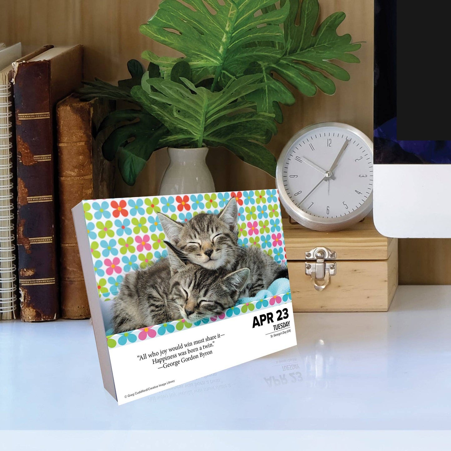 What Cats Teach Us 2024 Box Calendar Windy City Boutique