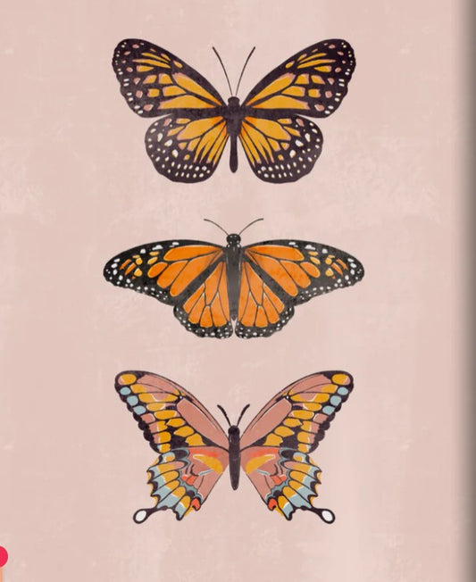 TRIO OF BUTTERFLIES SPIRAL LINED NOTEBOOK