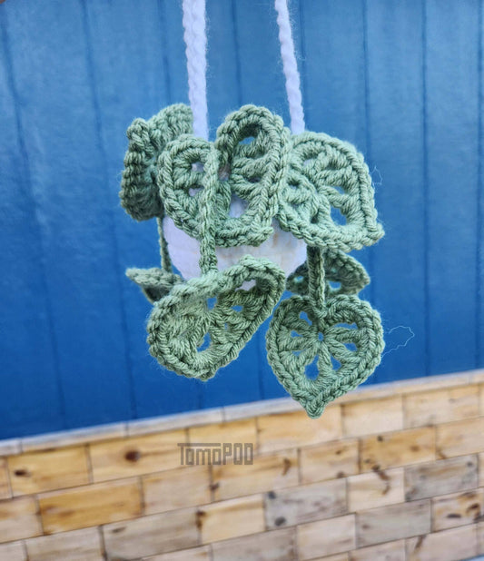 Crochet Pothos Car Plant Hanging, Monstera Houseplant Decor: #1