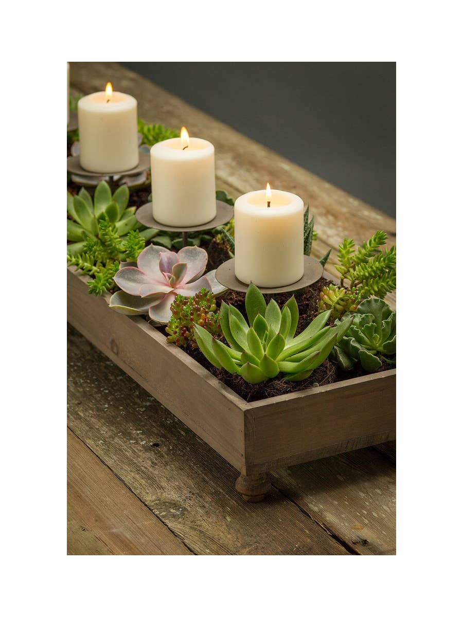 Rustic Recycled Pine Four Candle Candleholder