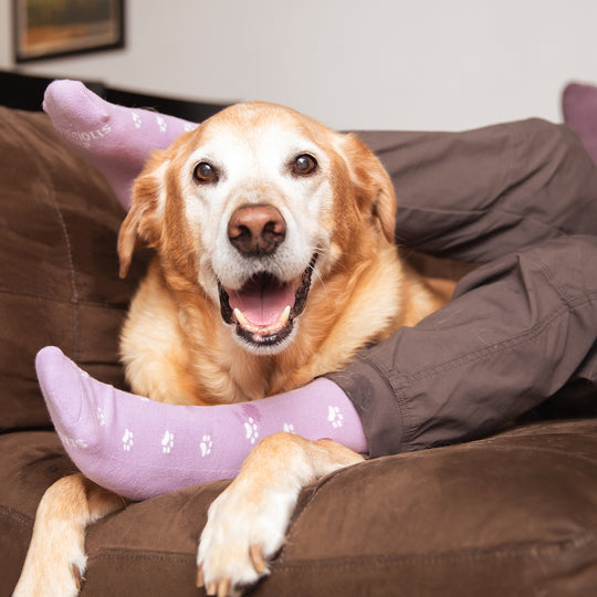 SOCKS THAT SAVE DOGS